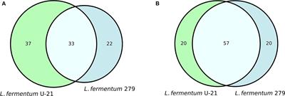 The use of omics technologies in creating LBP and postbiotics based on the Limosilactobacillus fermentum U-21
